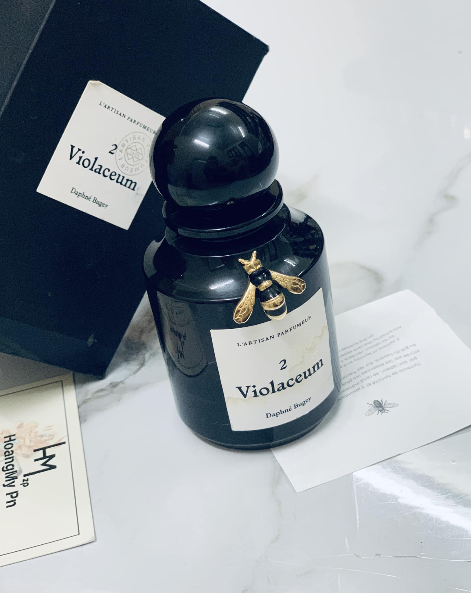 440440122_122129487776246527_3164043342150037737_n